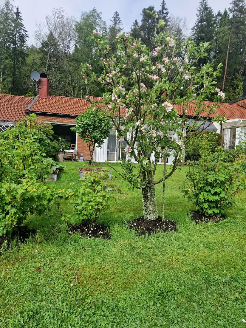 Villa, Radhus, Buddeberg 250, Uddevalla