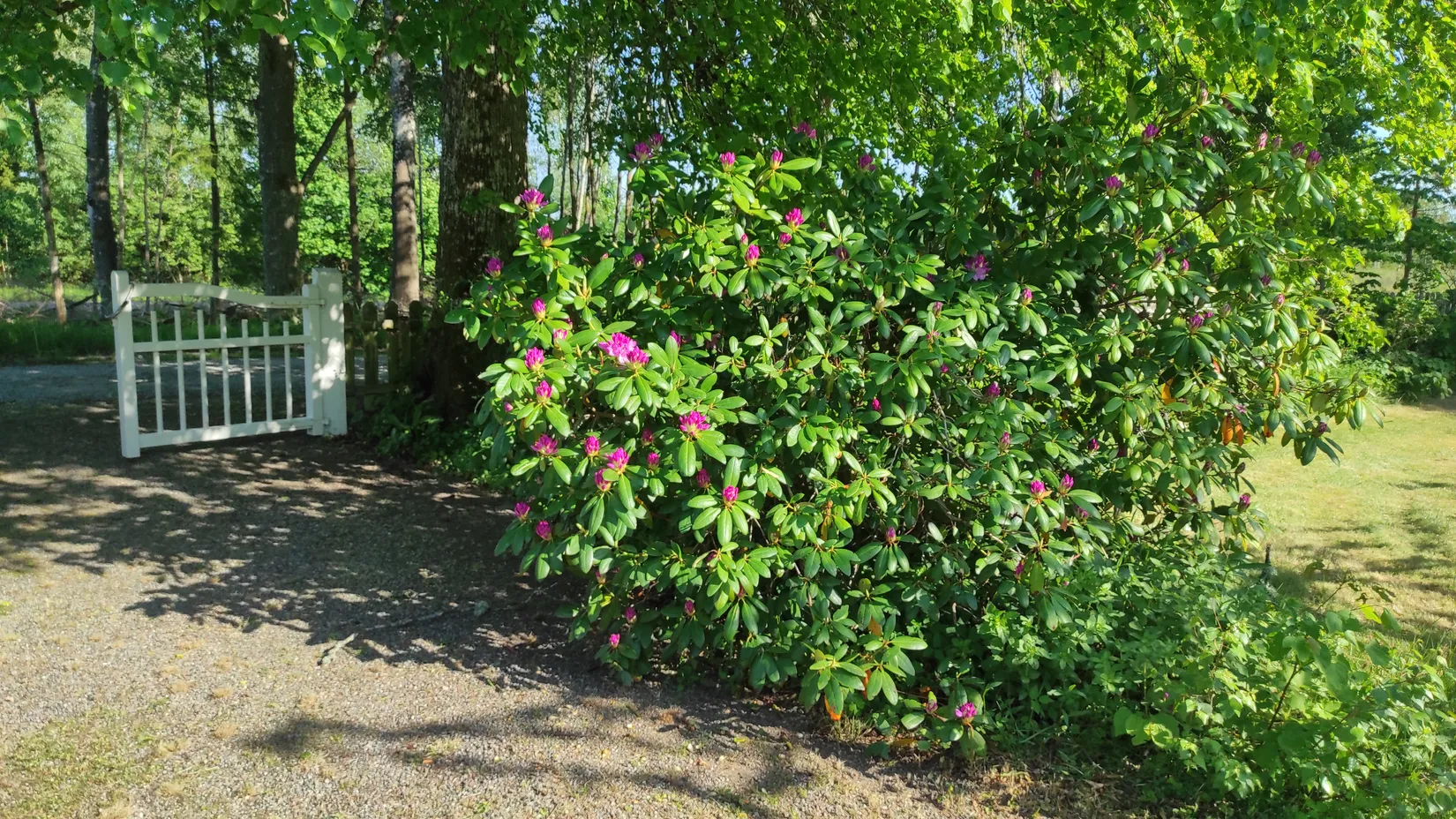 Fritidshus, Hörnsjö 101, Holmsjö, Karlskrona