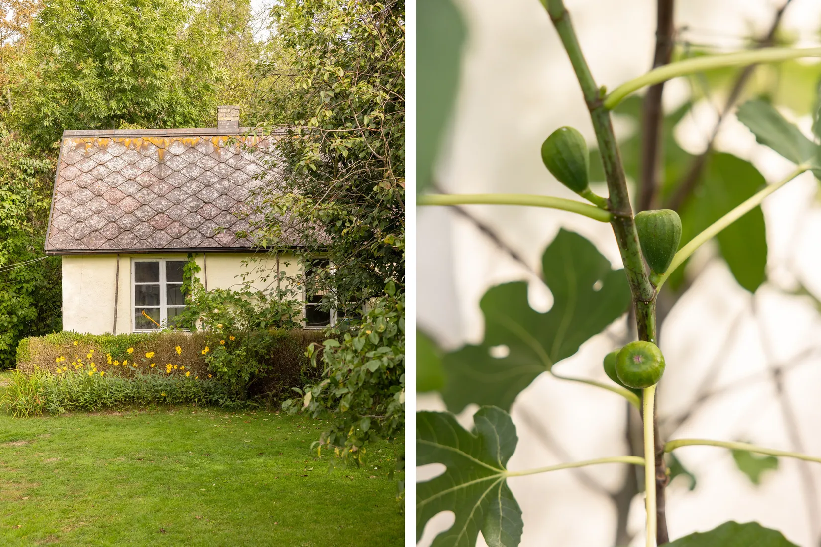 Villa, Lavendelvägen 18, Sliparelyckan, Lund