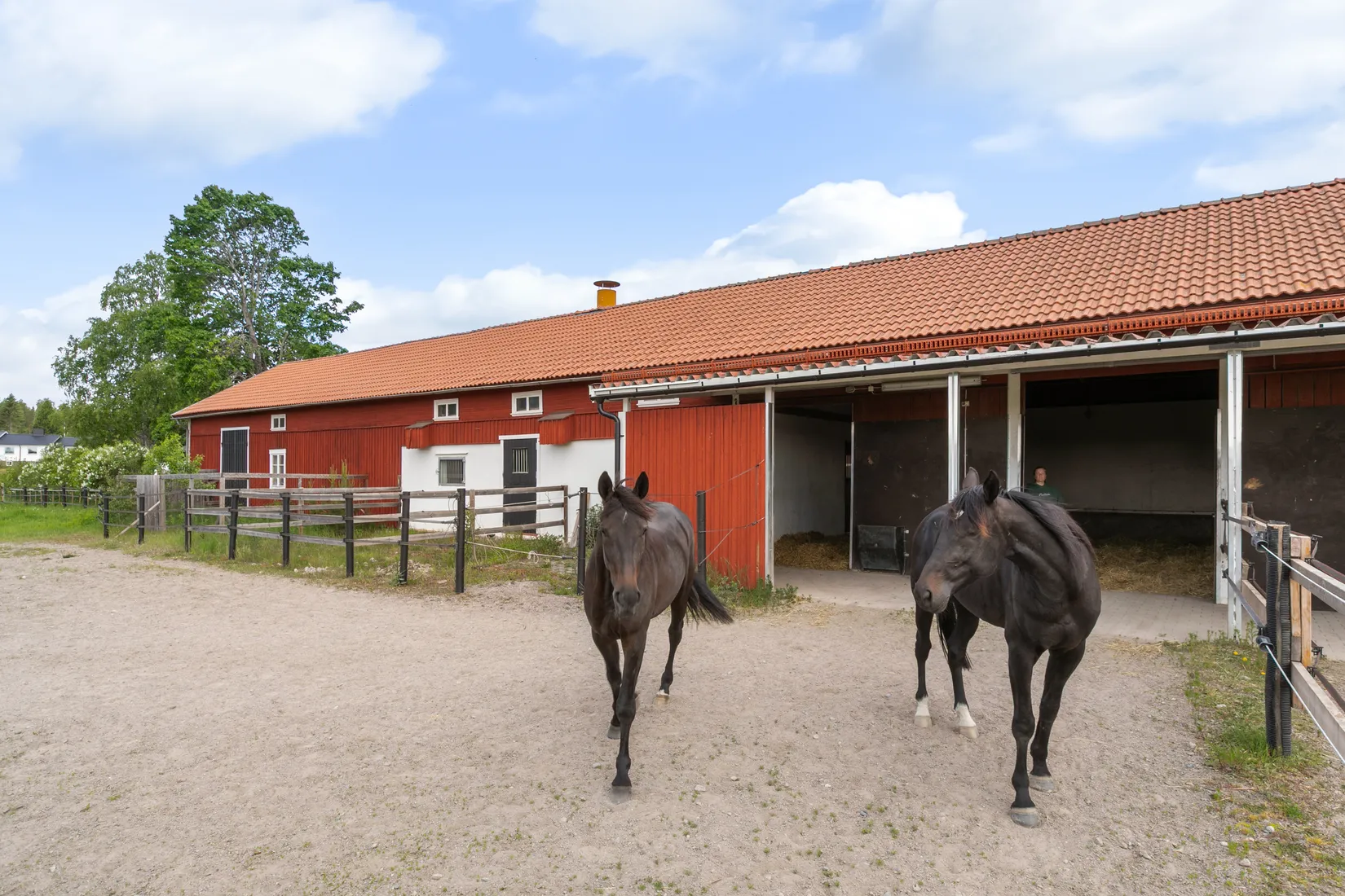 Gård/Skog, Oppala bygata 6, 0ppala, Gävle