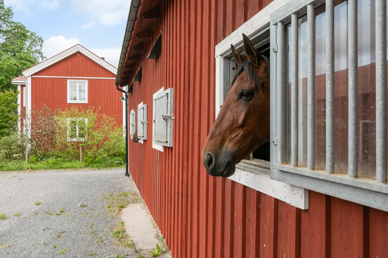 Gård/Skog, Oppala bygata 6, 0ppala, Gävle