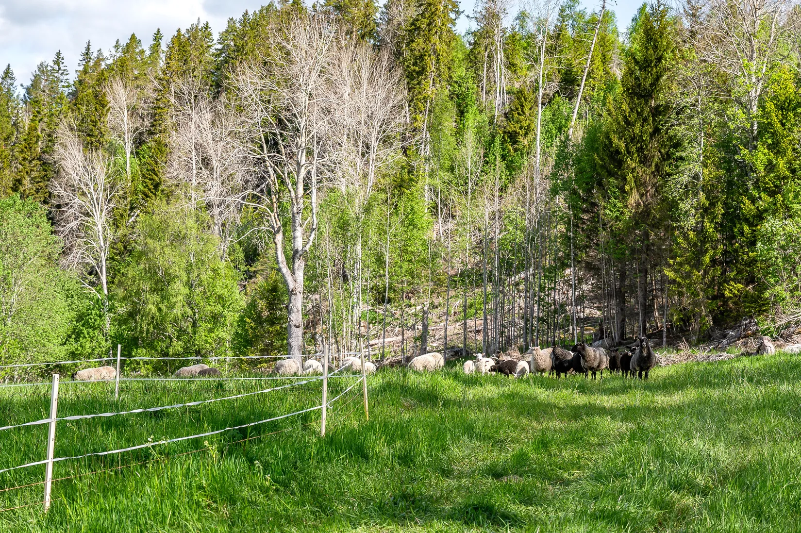 Fritidshus, Rogsta 110, Häggdånger, Härnösand