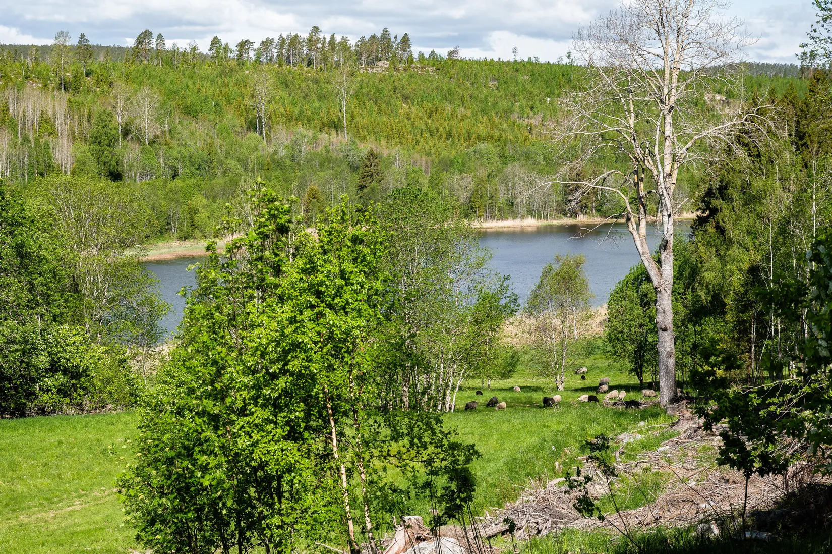 Fritidshus, Rogsta 110, Häggdånger, Härnösand