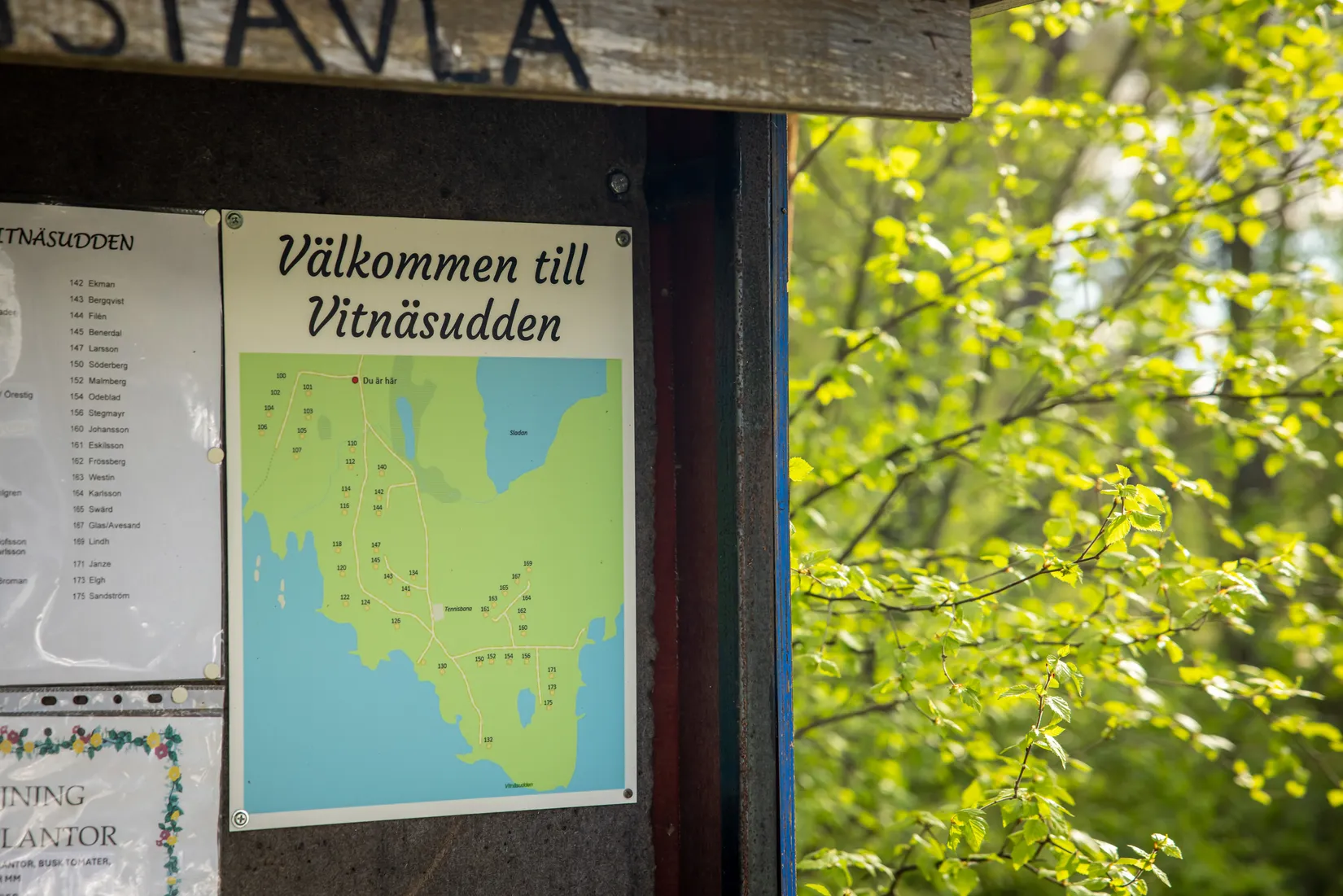Tomt, Vitnäsudden 100 & 102, Ratu, Robertsfors
