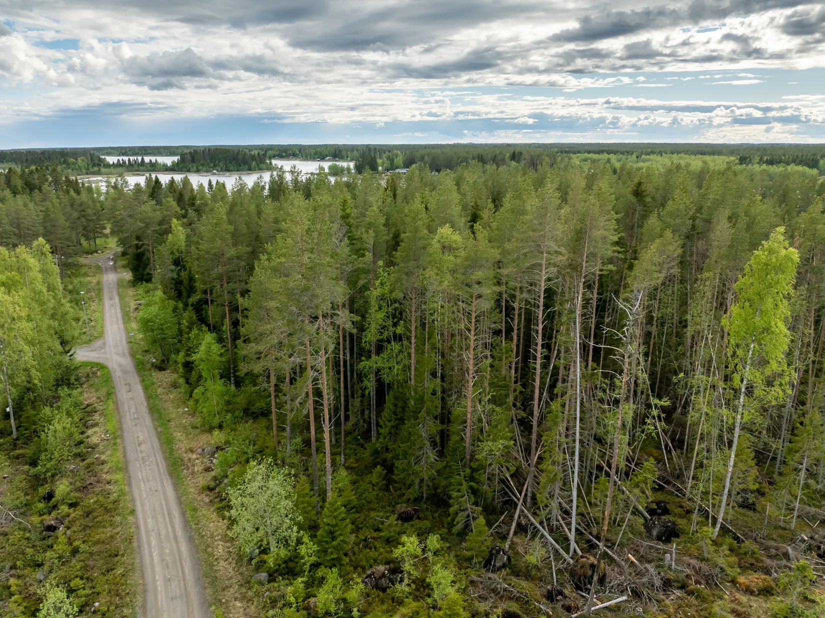 Tomt, Vitnäsudden 100 & 102, Ratu, Robertsfors