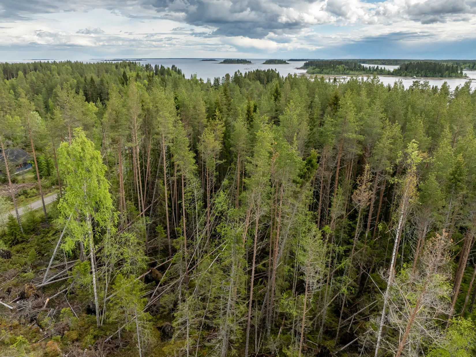 Tomt, Vitnäsudden 100 & 102, Ratu, Robertsfors