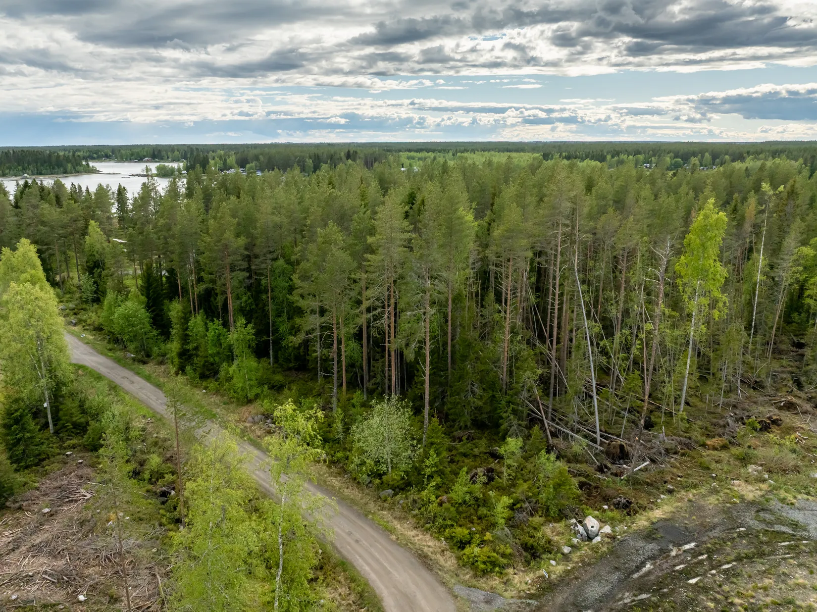 Tomt, Vitnäsudden 100 & 102, Ratu, Robertsfors
