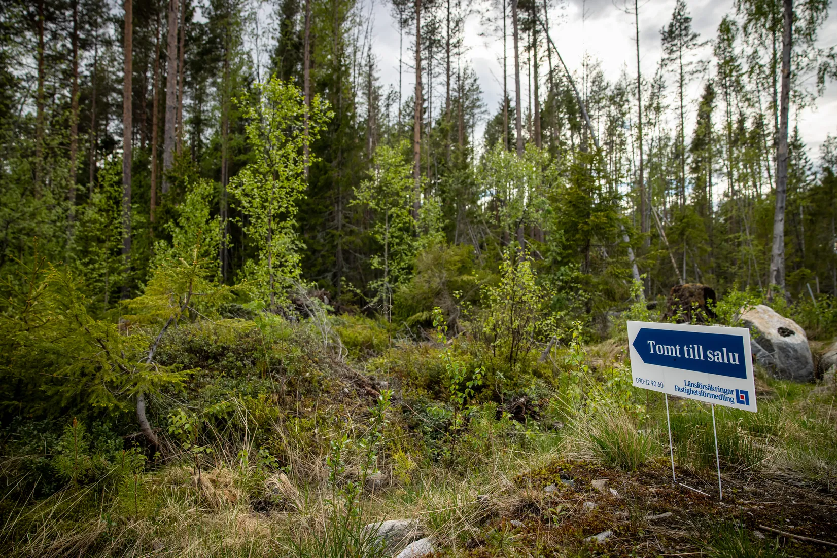 Tomt, Vitnäsudden 100 & 102, Ratu, Robertsfors