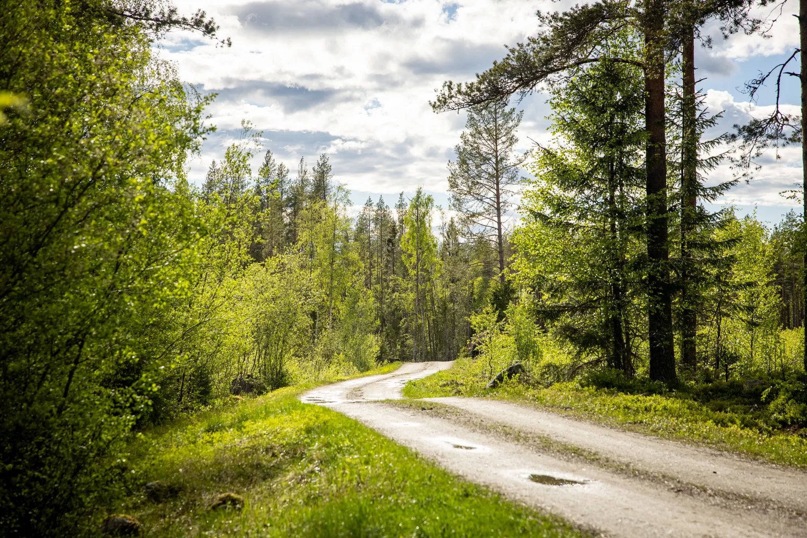 Tomt, Vitnäsudden 100 & 102, Ratu, Robertsfors