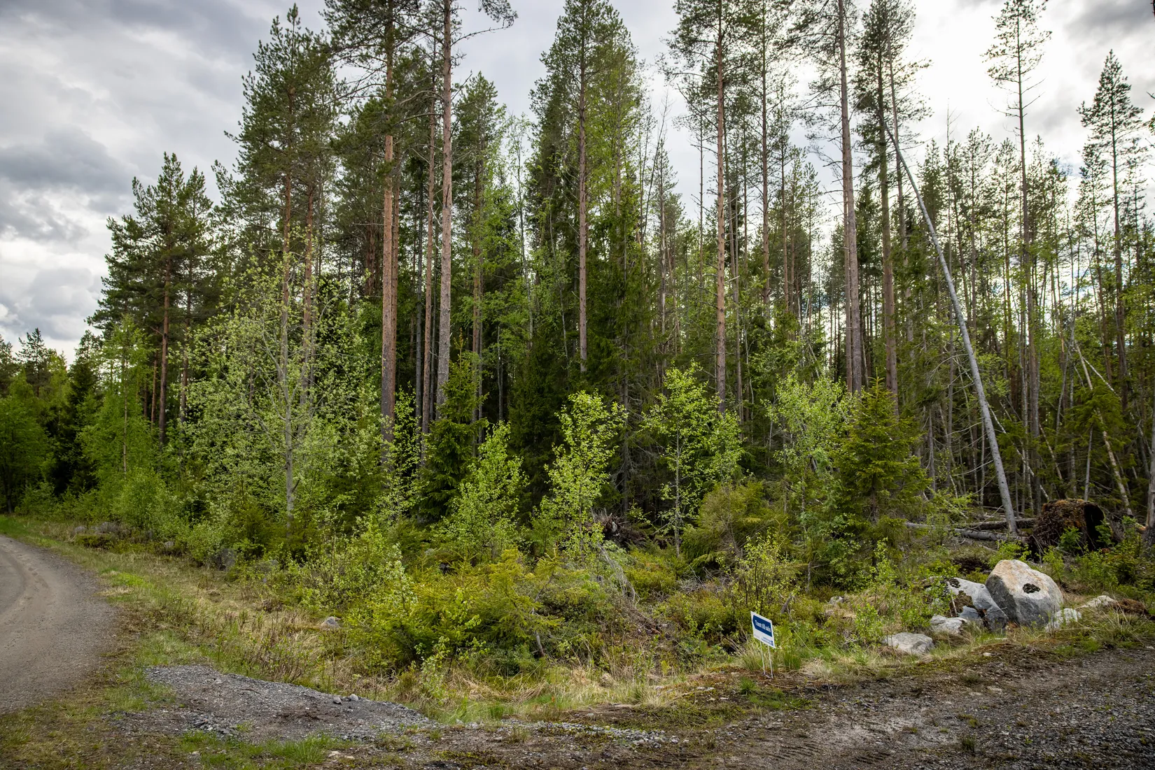 Tomt, Vitnäsudden 100 & 102, Ratu, Robertsfors