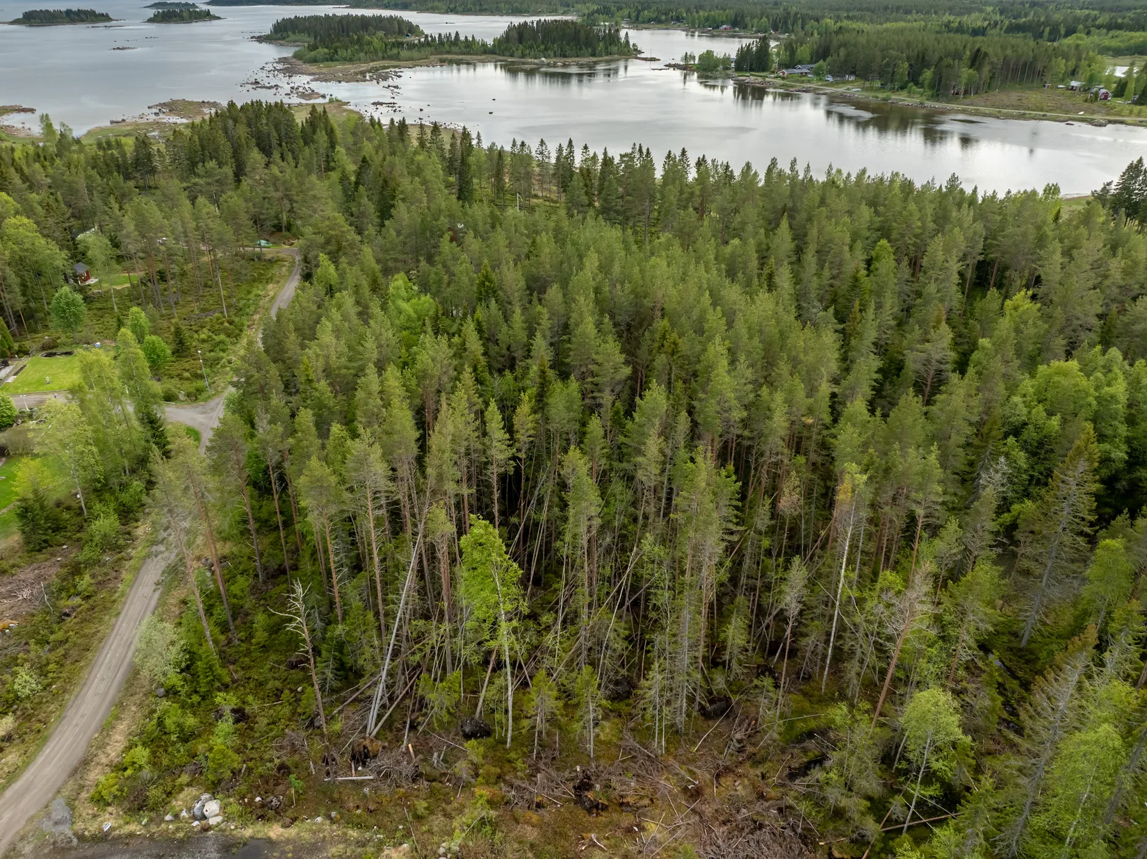Tomt, Vitnäsudden 100 & 102, Ratu, Robertsfors