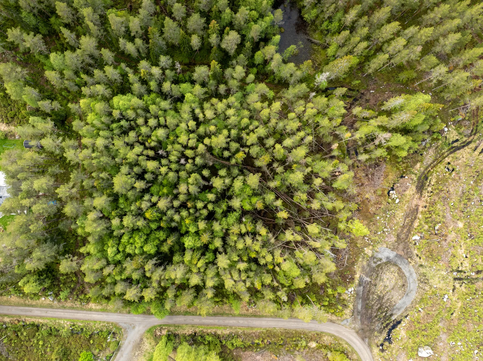 Tomt, Vitnäsudden 100 & 102, Ratu, Robertsfors