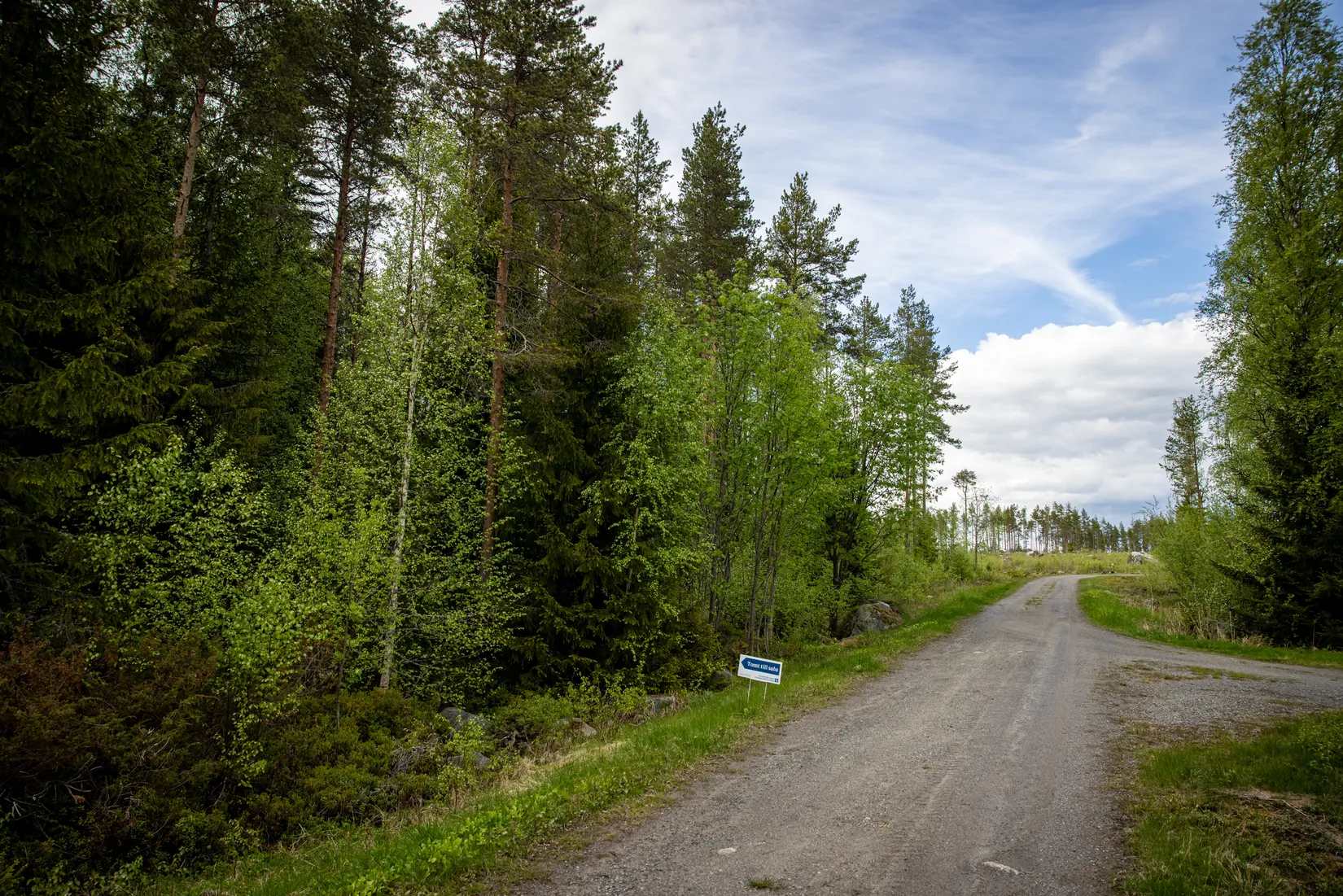Tomt, Vitnäsudden 100 & 102, Ratu, Robertsfors