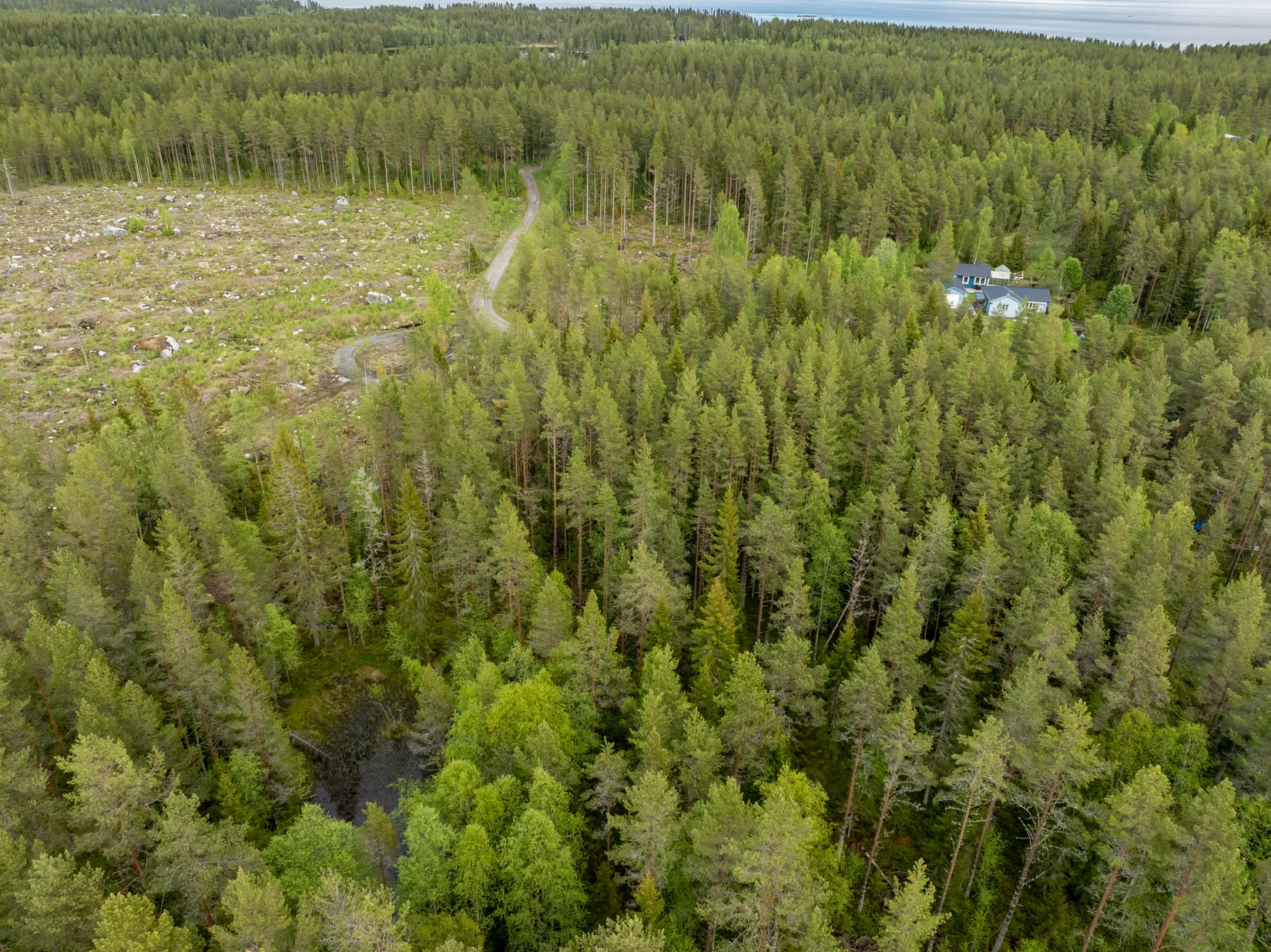 Tomt, Vitnäsudden 100 & 102, Ratu, Robertsfors