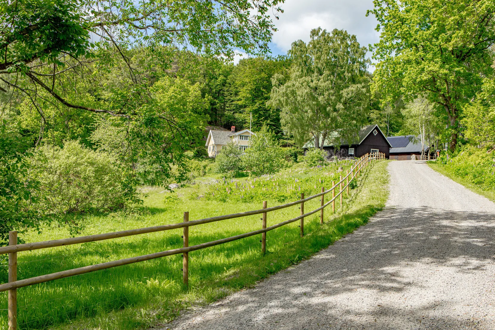 Gård/Skog, Köinge-Svenstorp 310, Svartrå, Falkenberg