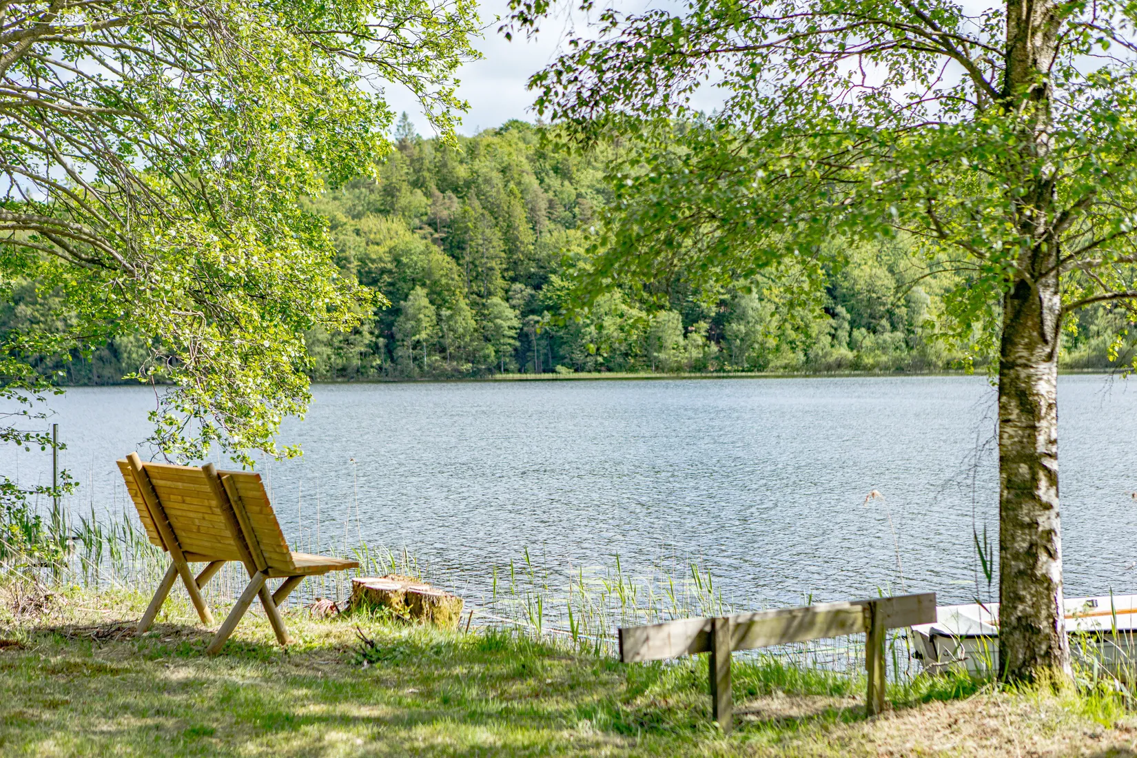 Gård/Skog, Köinge-Svenstorp 310, Svartrå, Falkenberg