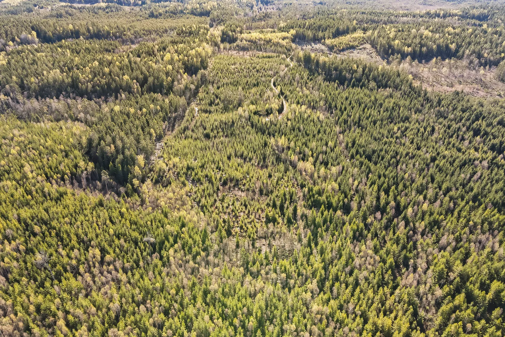Gård/Skog, Hallaböke 7650, Hallaryd, Älmhult