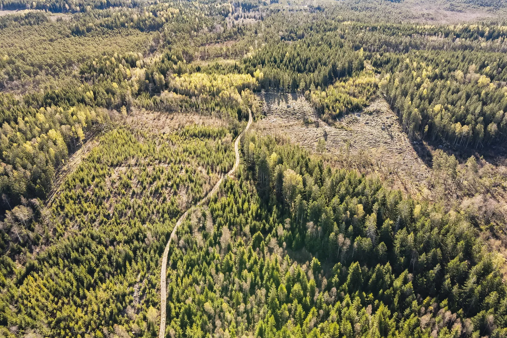 Gård/Skog, Hallaböke 7650, Hallaryd, Älmhult