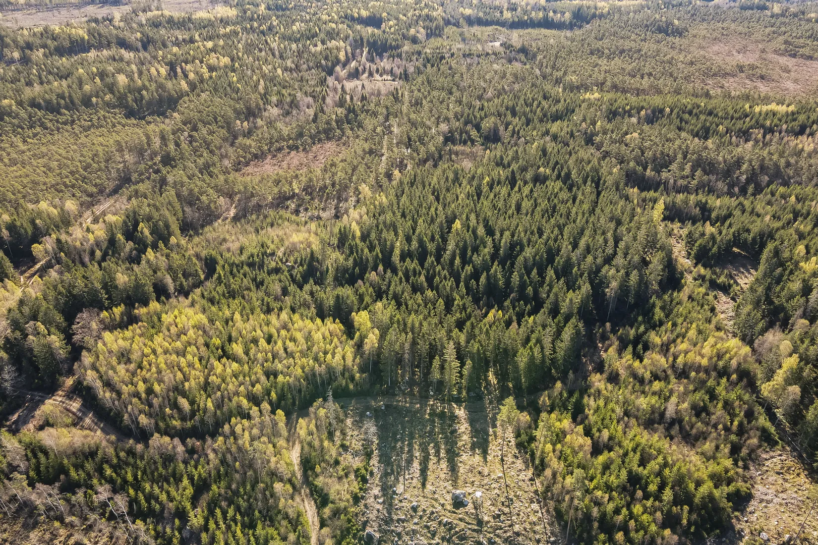 Gård/Skog, Hallaböke 7650, Hallaryd, Älmhult