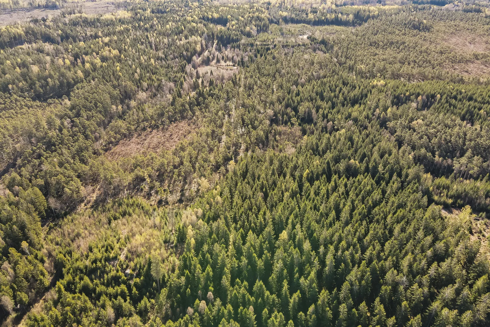 Gård/Skog, Hallaböke 7650, Hallaryd, Älmhult