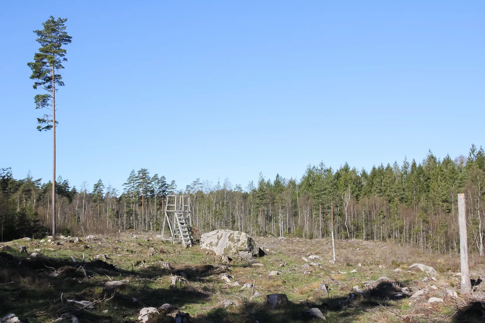 Gård/Skog, Hallaböke 7650, Hallaryd, Älmhult