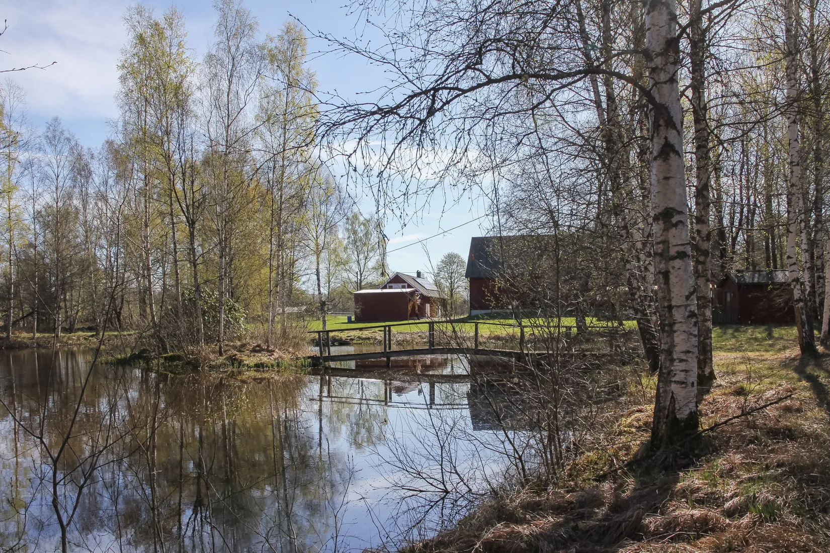 Gård/Skog, Hallaböke 7650, Hallaryd, Älmhult