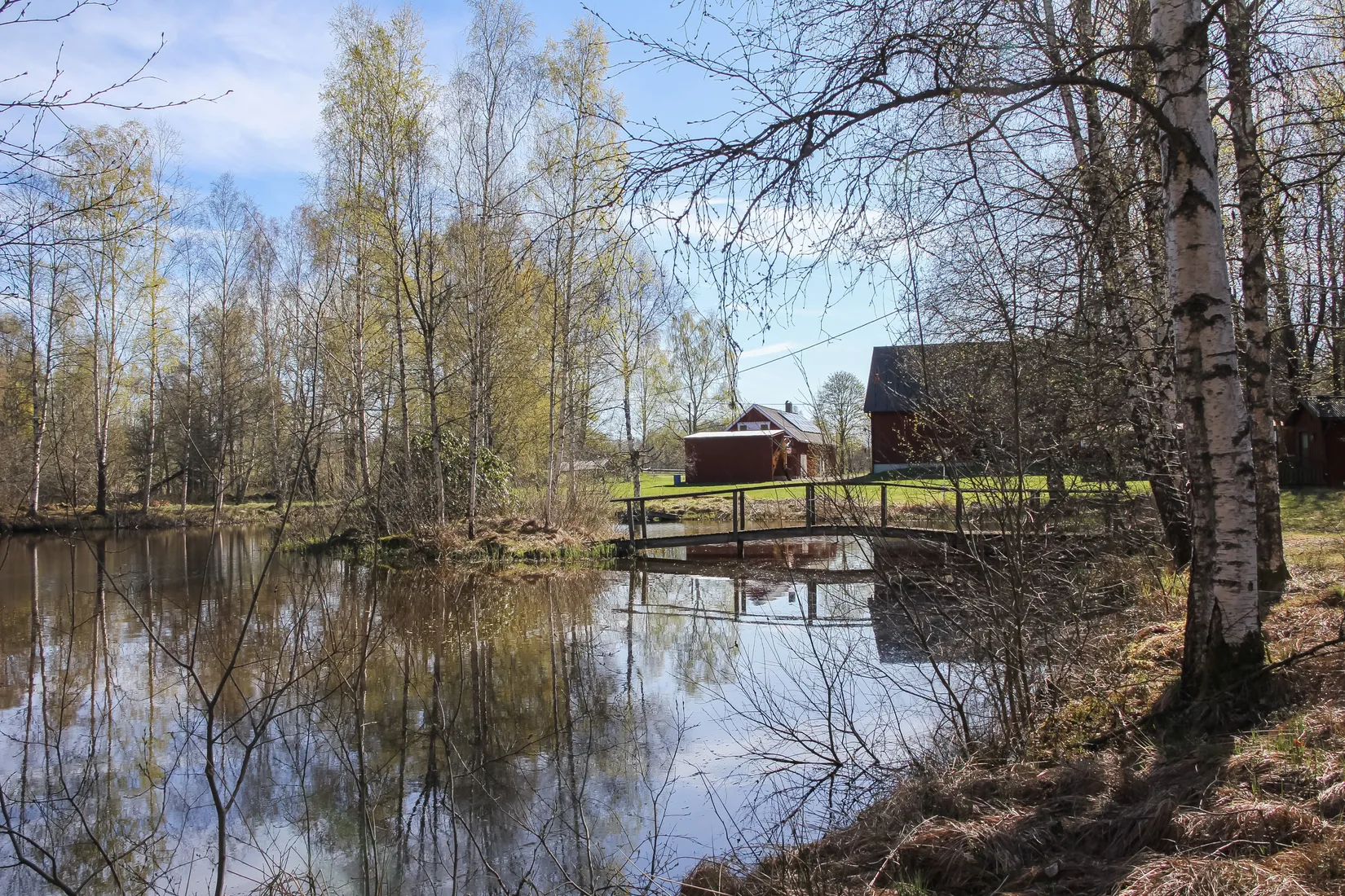 Gård/Skog, Hallaböke 7650, Hallaryd, Älmhult