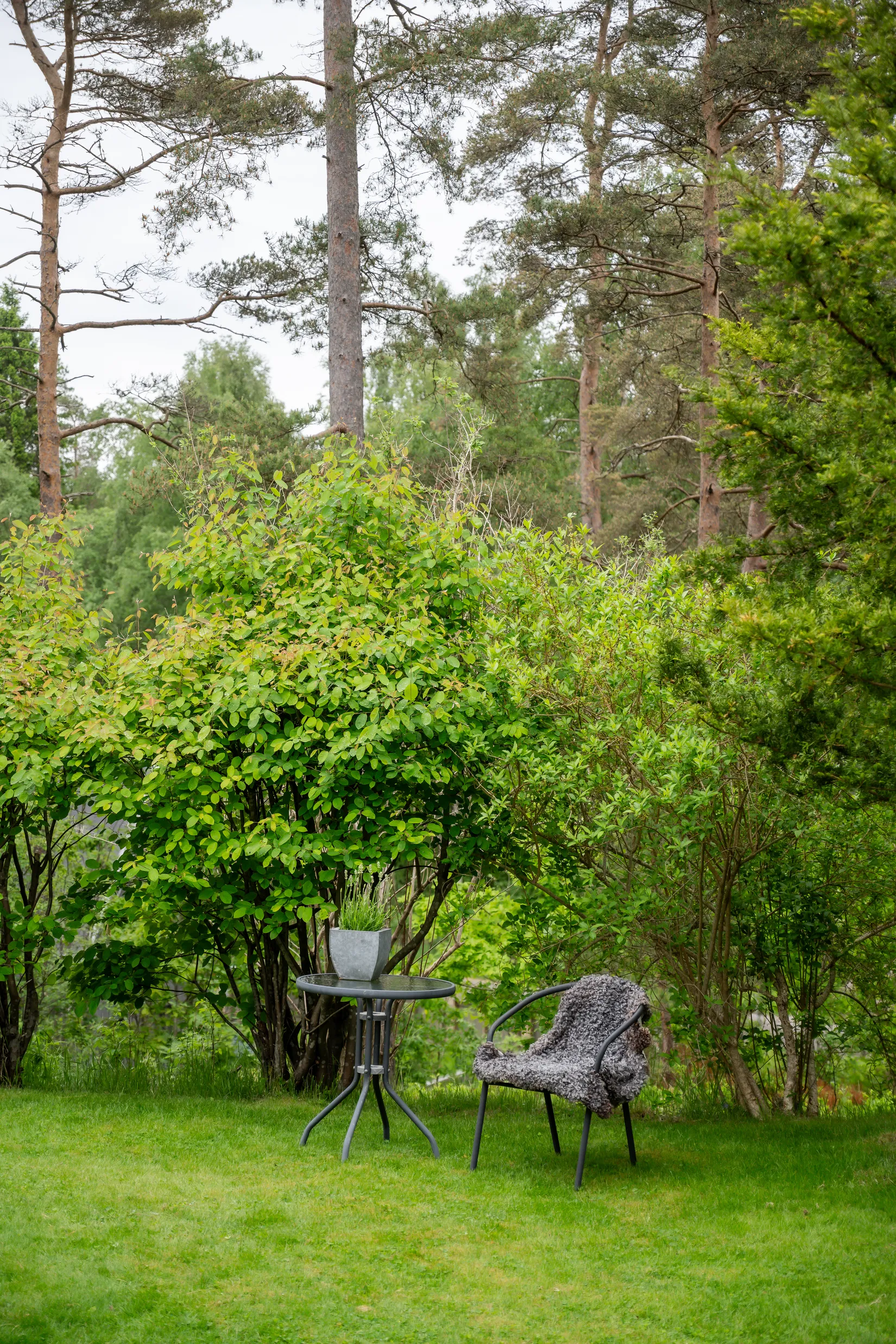 Villa, Åsakroken 59, Viskafors, Borås