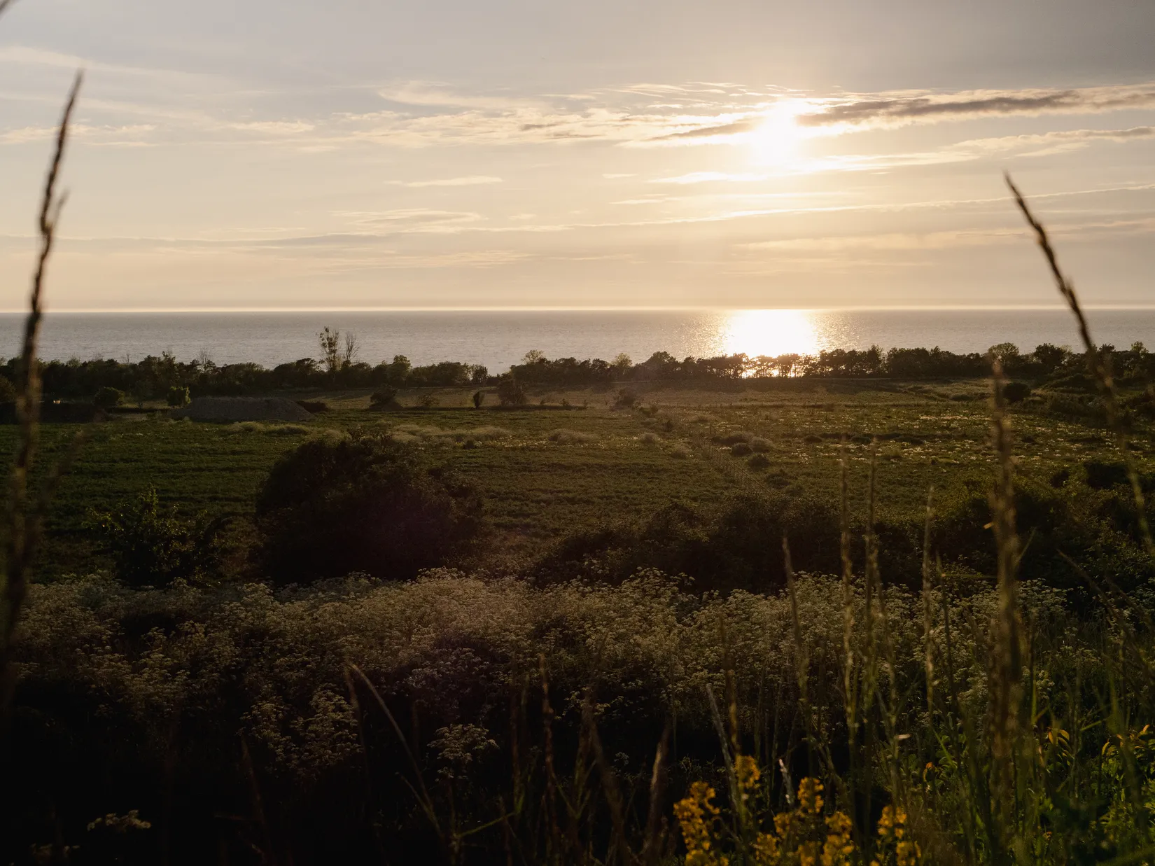 Tomt, Del av Lummelunda Överstekvarn 1:67 (Tomt 8), Visby