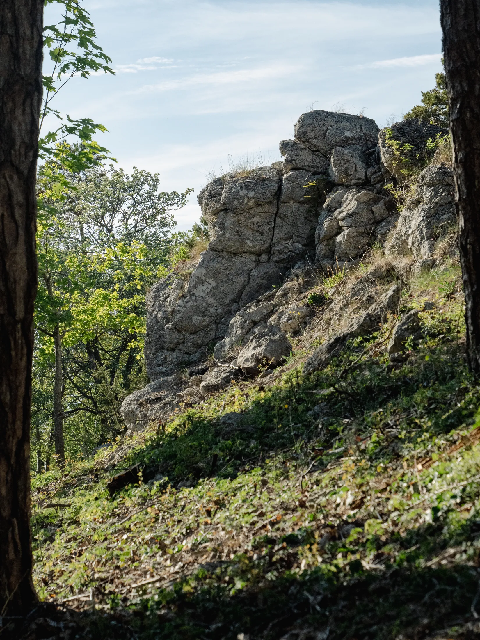 Tomt, Del av Lummelunda Överstekvarn 1:67 (Tomt 8), Visby
