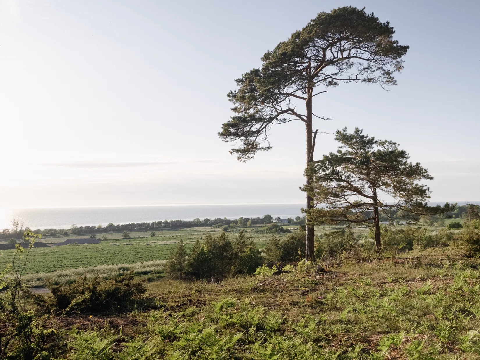 Tomt, Del av Lummelunda Överstekvarn 1:67 (Tomt 8), Visby