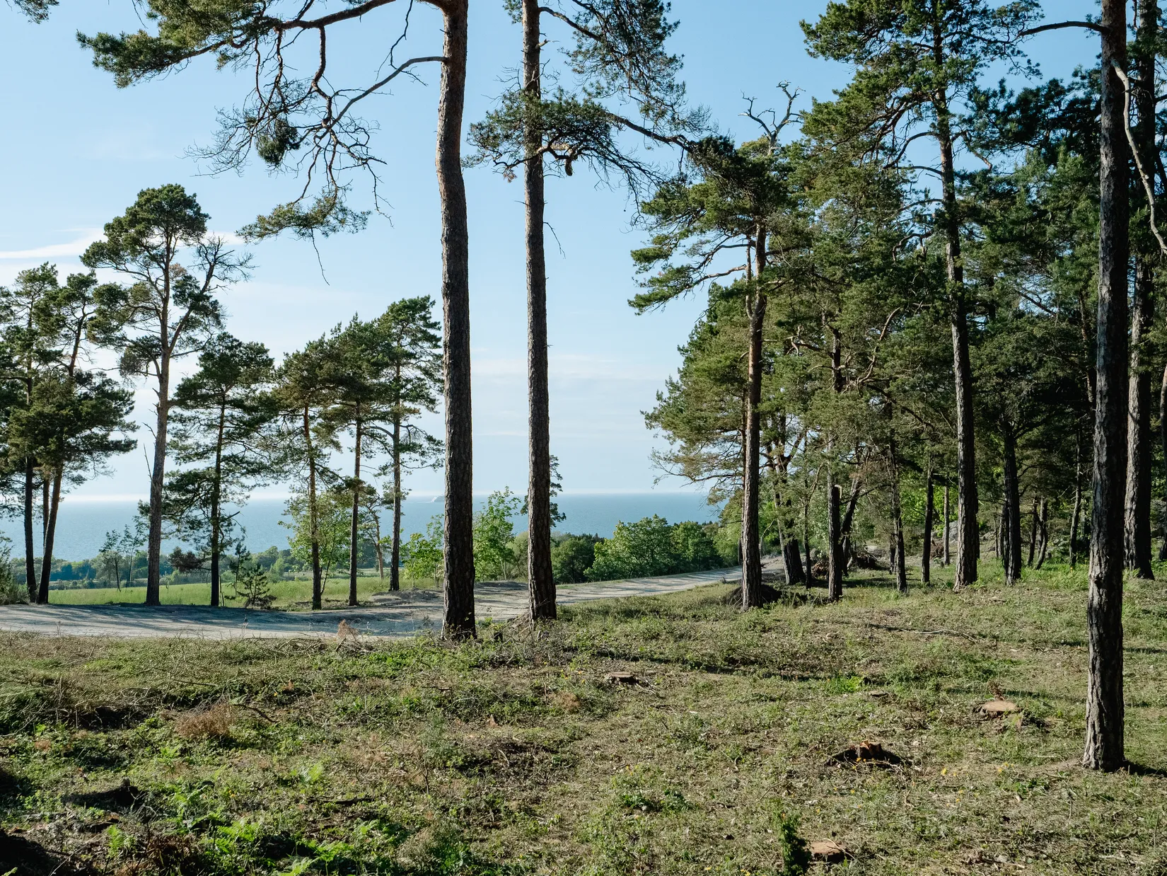Tomt, Del av Lummelunda Överstekvarn 1:67 (Tomt 8), Visby
