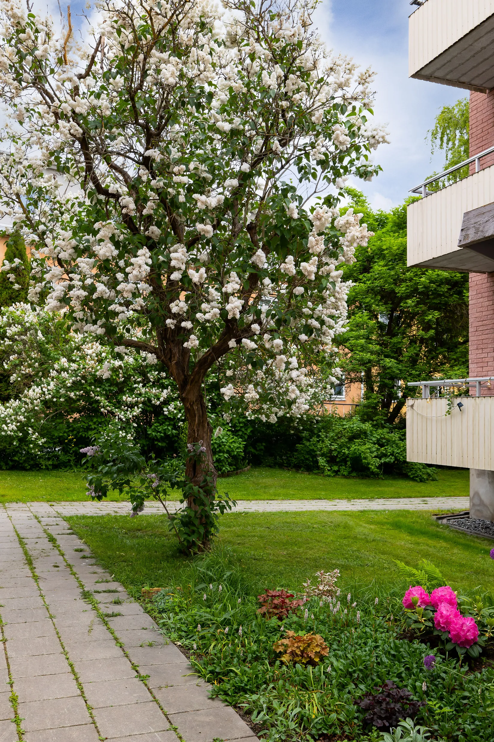 Bostadsrätt, Schantzgatan 8, Centralt norr, Örebro