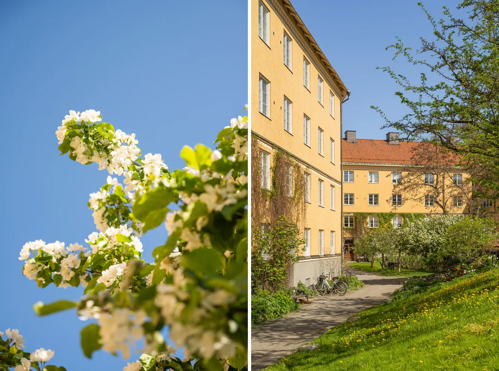 Bostadsrätt, Helgagatan 36N, 3 / 3 tr, Södermalm - Skanstull, Stockholm