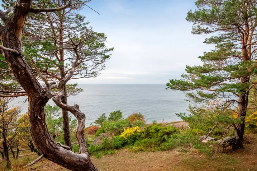 Bostadsrätt, Högklint Högklintsvägen 12 - Stuga 25, Högklint, Gotland