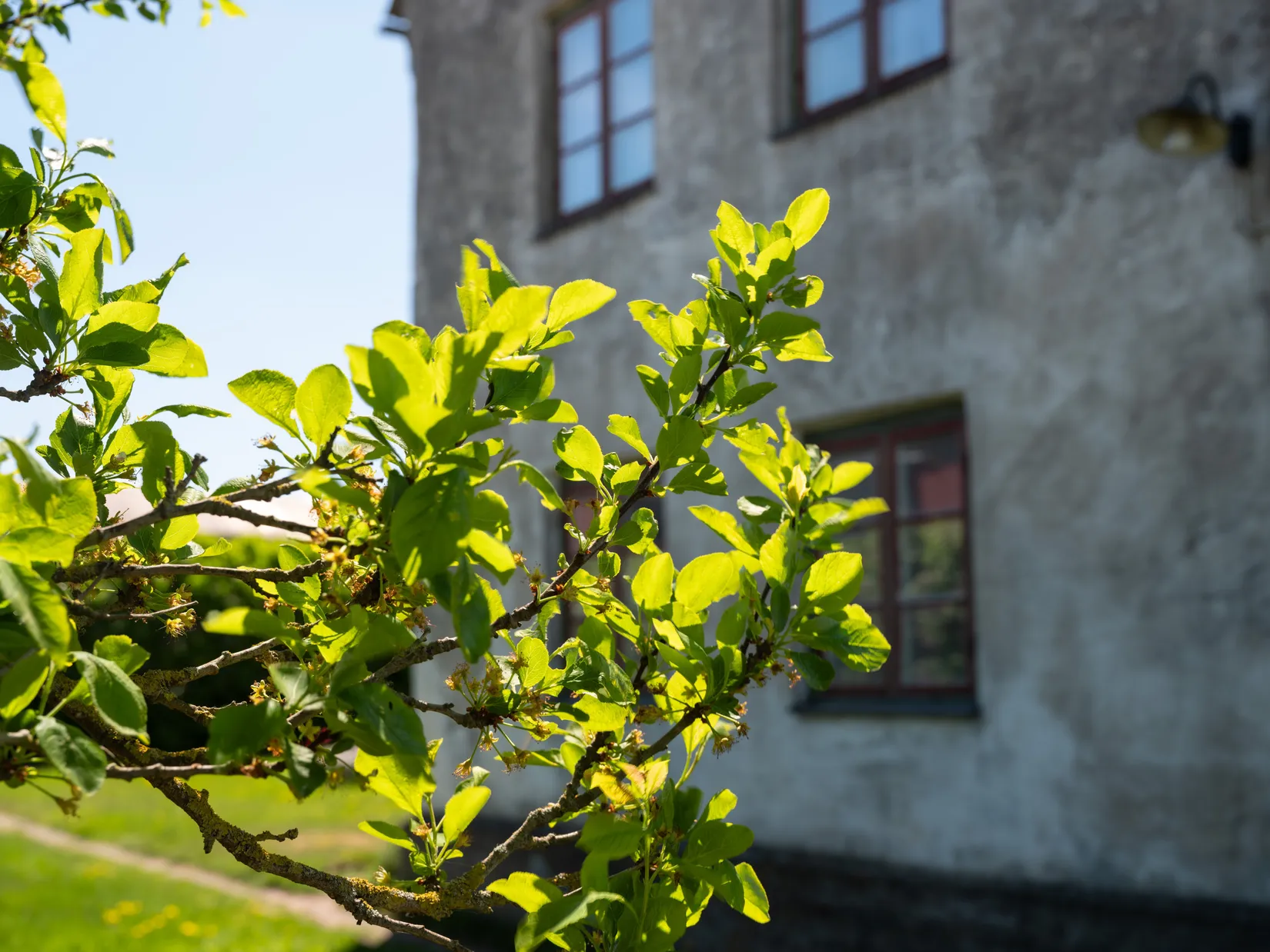 Gård/Skog, Lau Gannor 862, Lau, Gotland