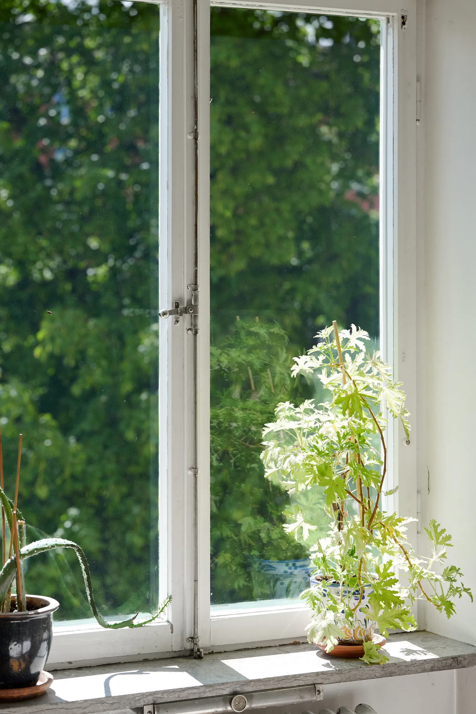 Bostadsrätt, Möregatan 10, Södermalm Katarina, Stockholm