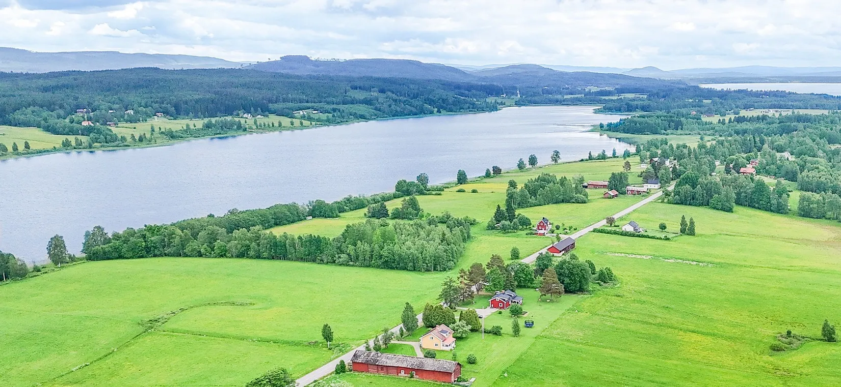 Gård/Skog, Älvesby södra, Hagfors