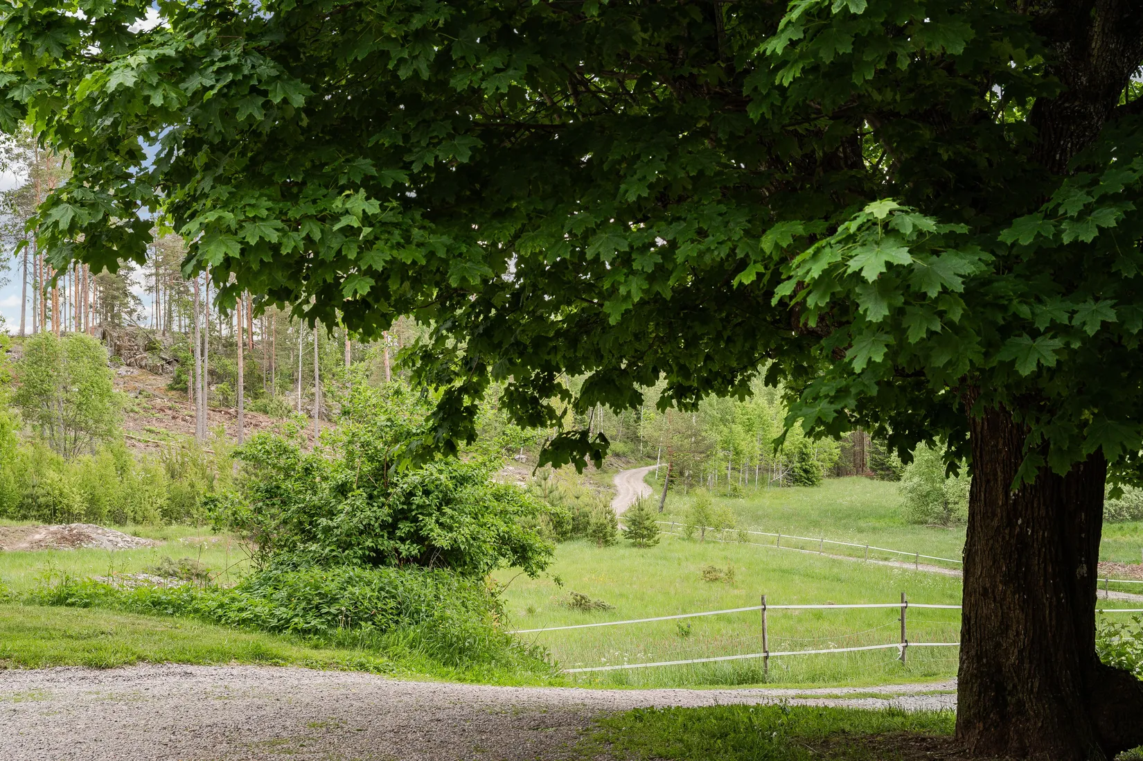 Gård/Skog, Präststigen Holmtorp, Sparreholm, Flen