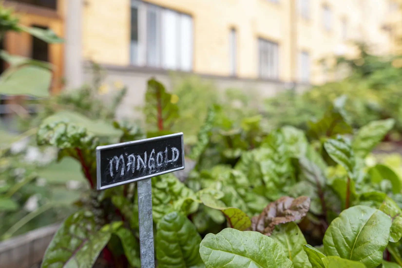 Bostadsrätt, Klippgatan 14, Sofia / Södermalm, Stockholm