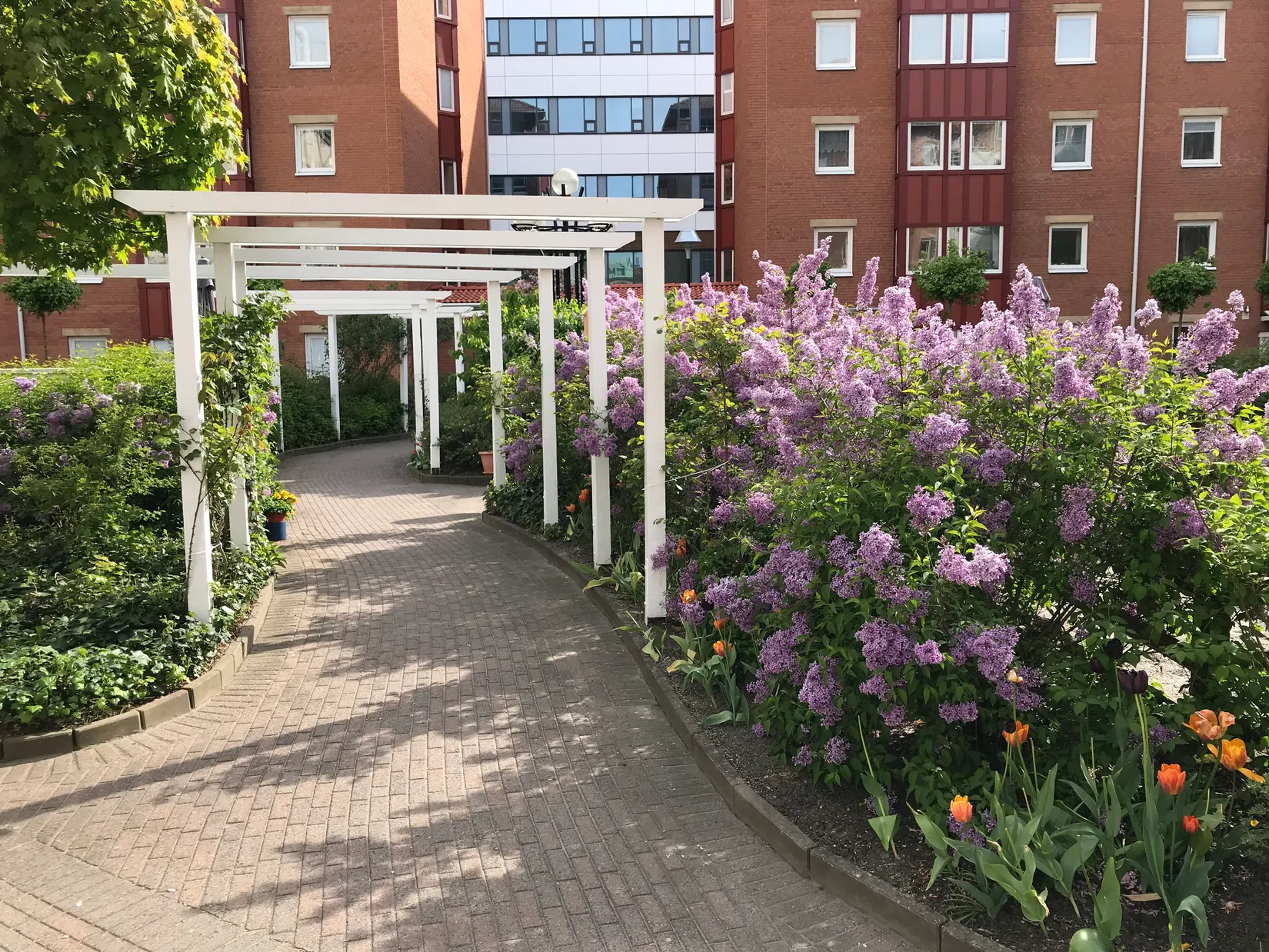 Bostadsrätt, Östra Förstadsgatan 17H, Slussen, Malmö
