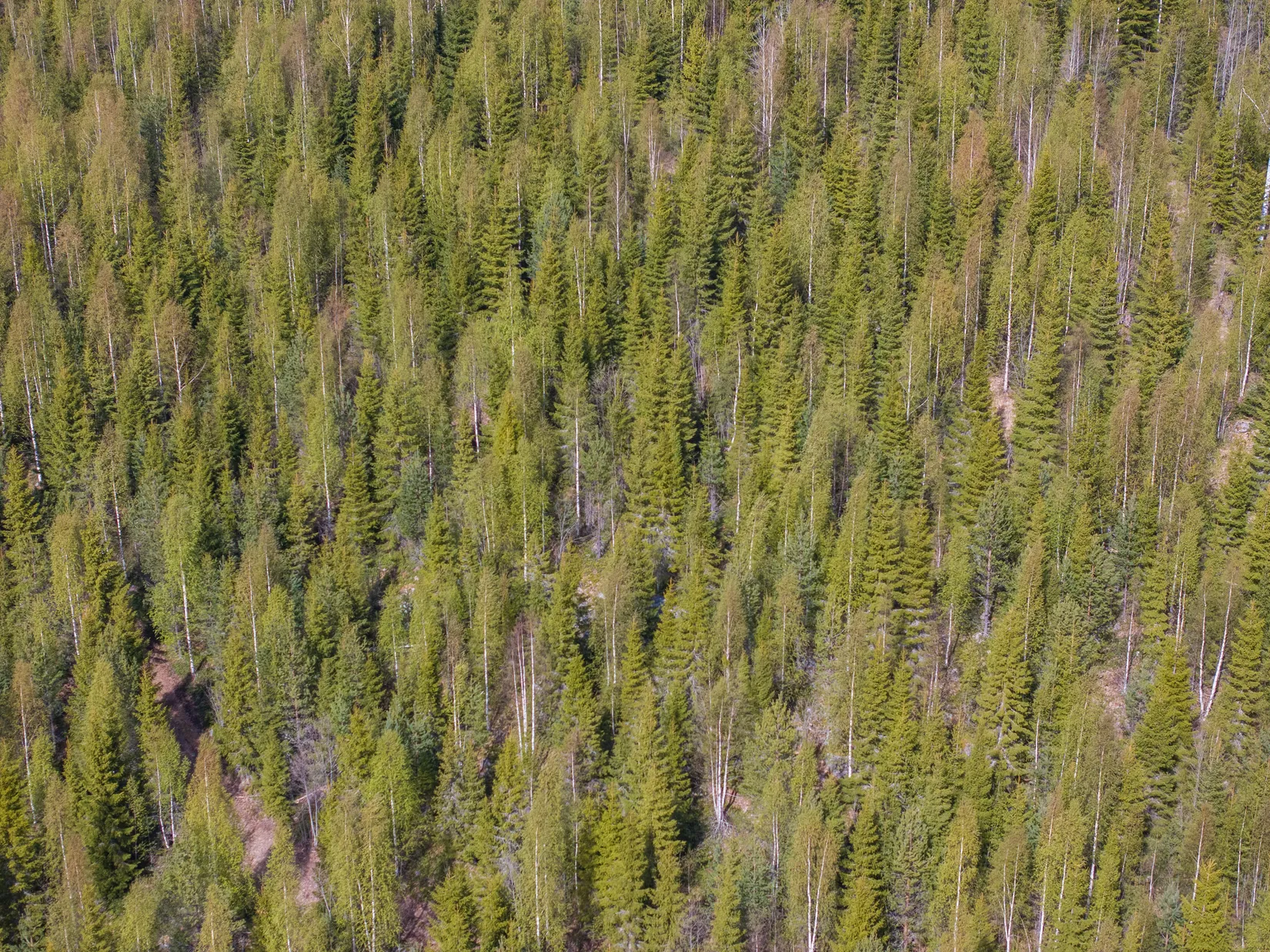 Gård/Skog, Sundsvall Kärvsta 2:38, Stöde, Sundsvall