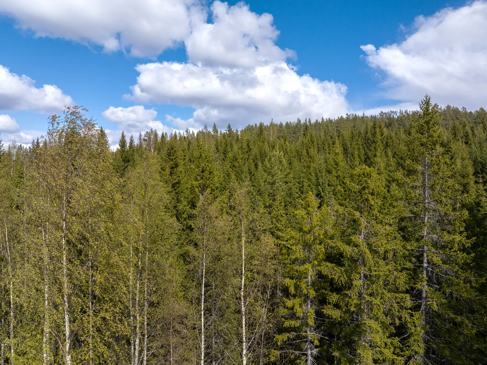 Gård/Skog, Sundsvall Kärvsta 2:38, Stöde, Sundsvall