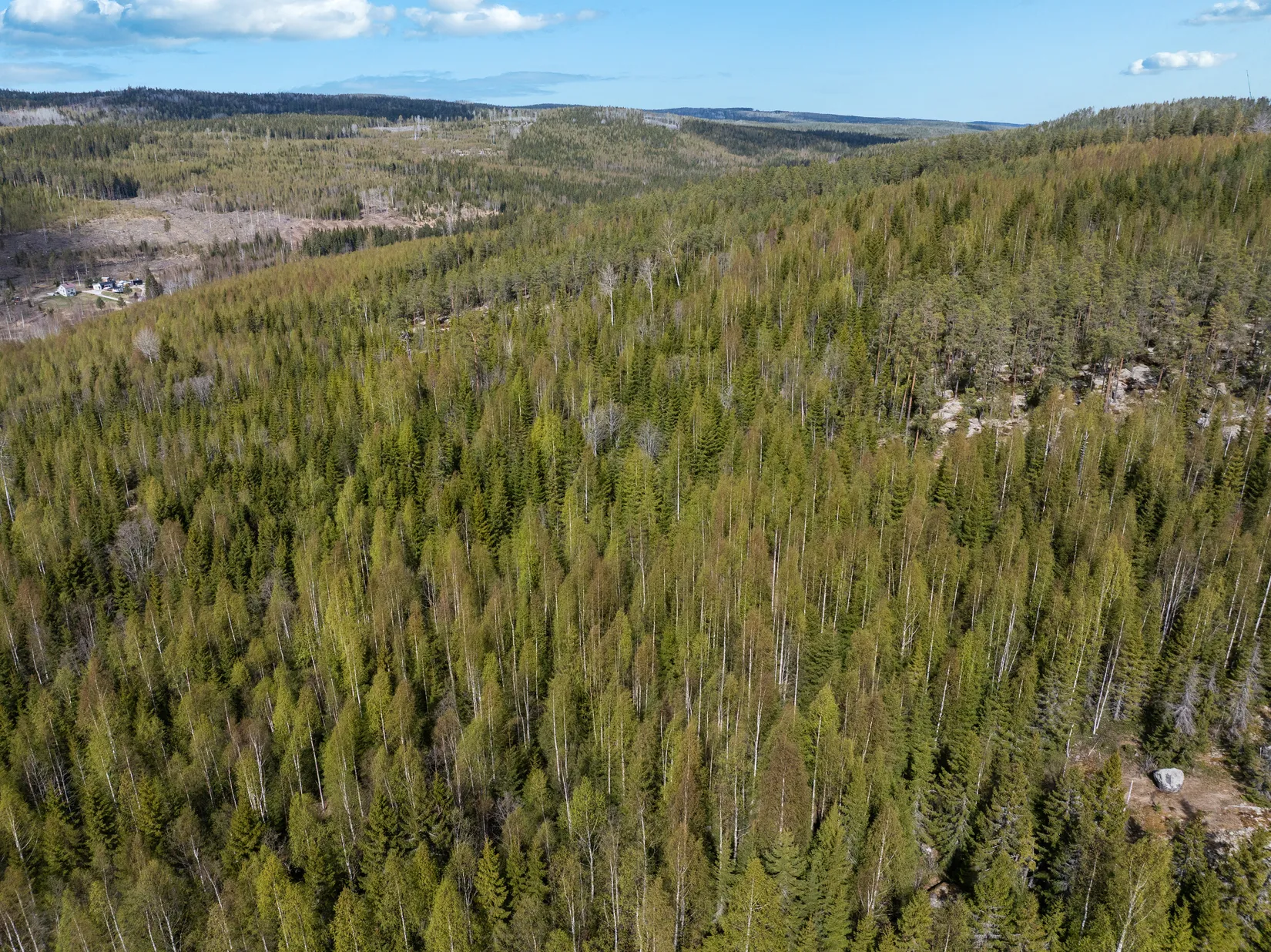 Gård/Skog, Sundsvall Kärvsta 2:38, Stöde, Sundsvall