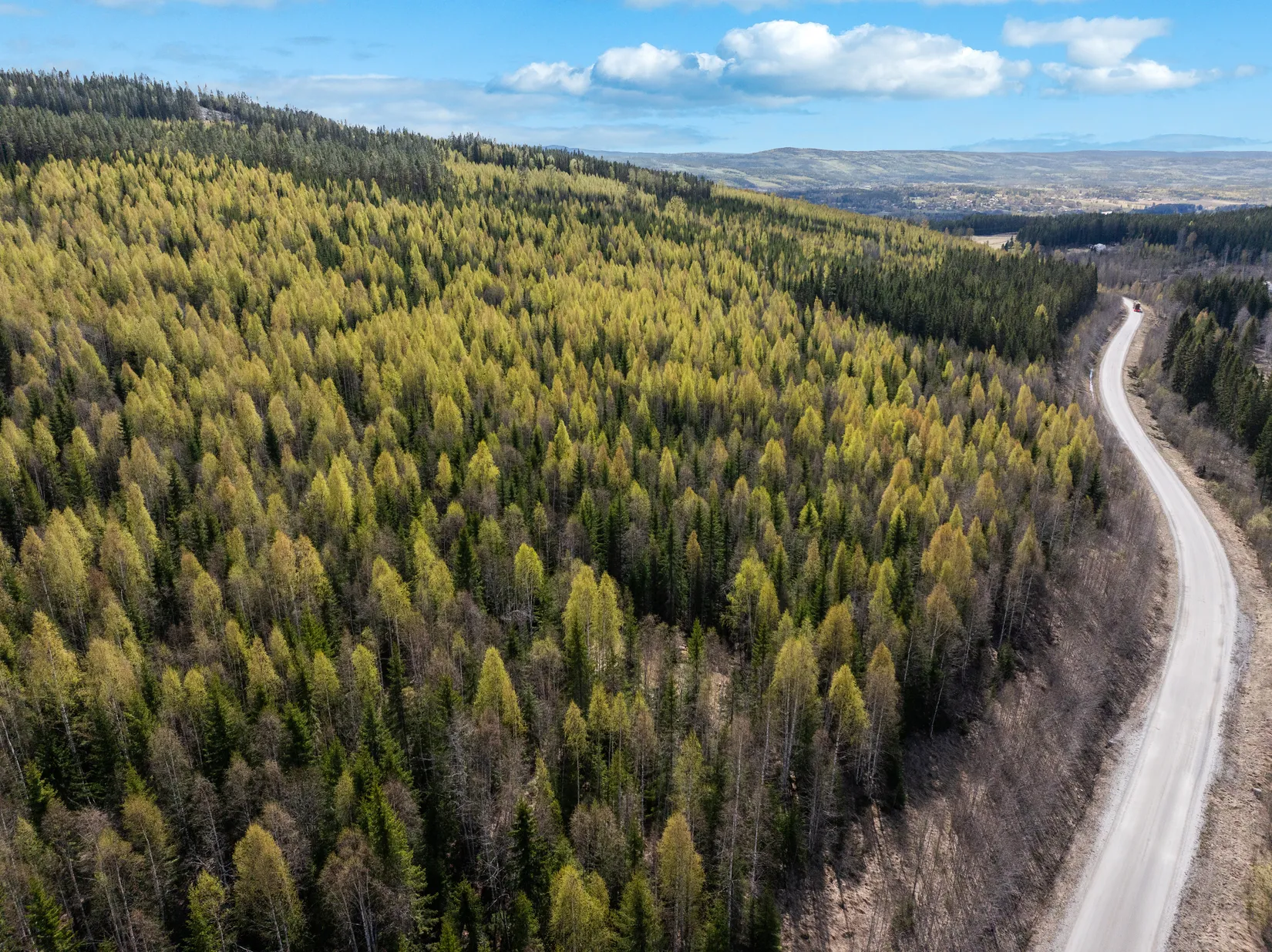 Gård/Skog, Sundsvall Kärvsta 2:38, Stöde, Sundsvall
