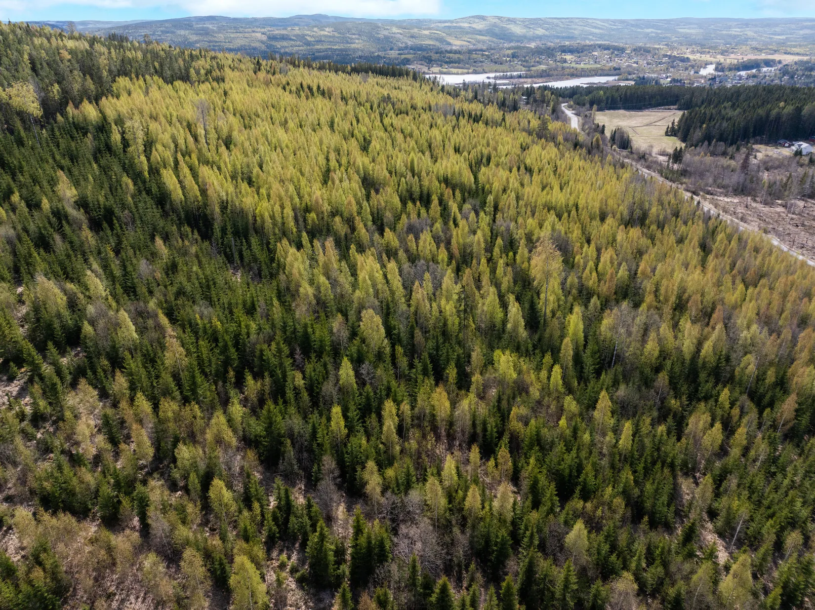 Gård/Skog, Sundsvall Kärvsta 2:38, Stöde, Sundsvall