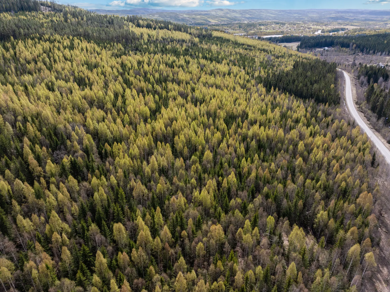 Gård/Skog, Sundsvall Kärvsta 2:38, Stöde, Sundsvall
