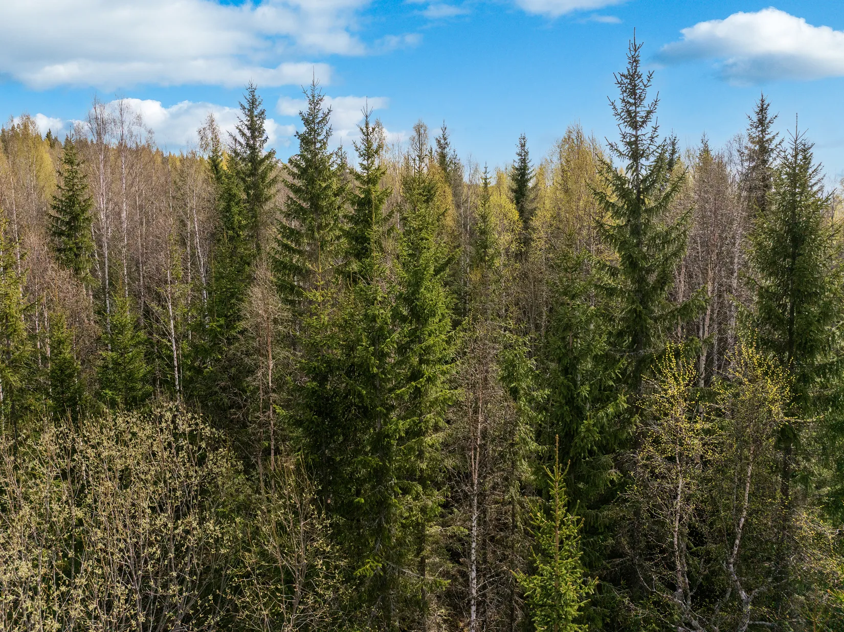 Gård/Skog, Sundsvall Kärvsta 2:38, Stöde, Sundsvall