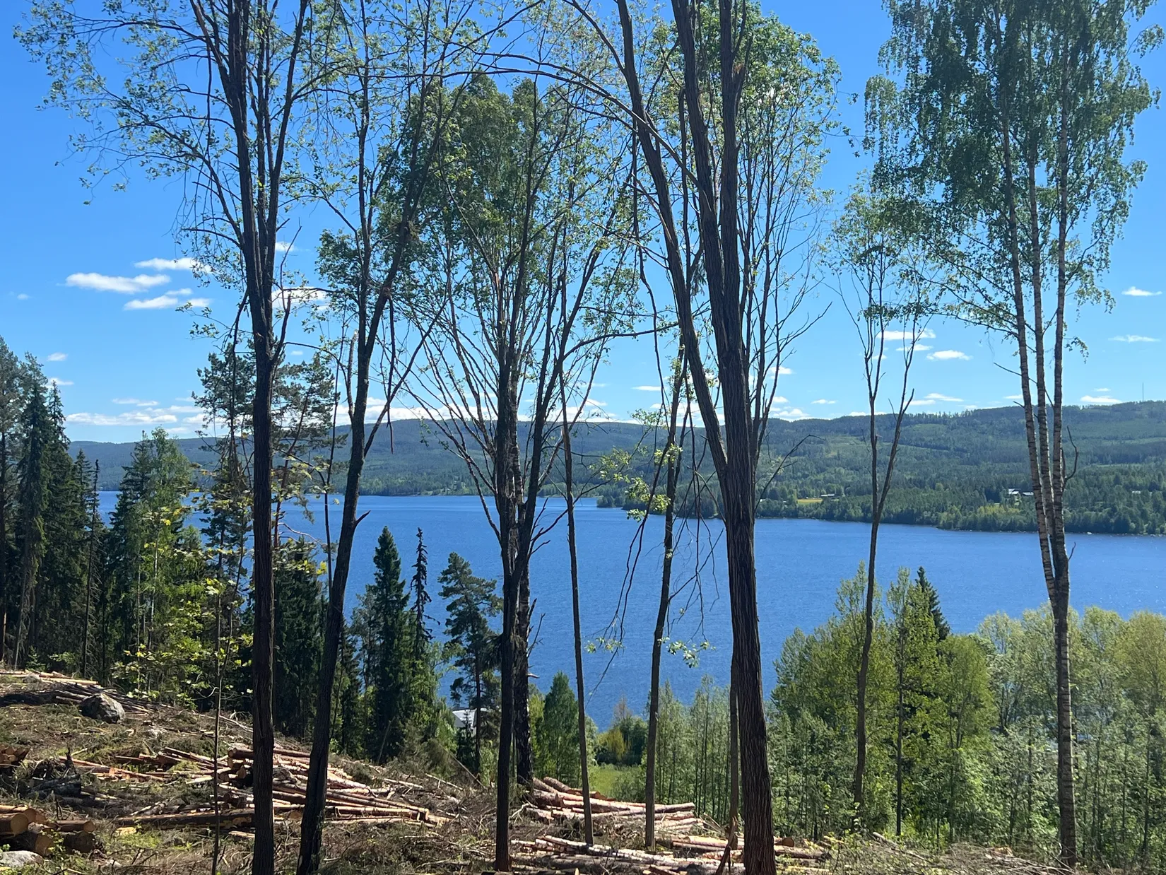 Gård/Skog, Sundsvall Kärvsta 2:38, Stöde, Sundsvall