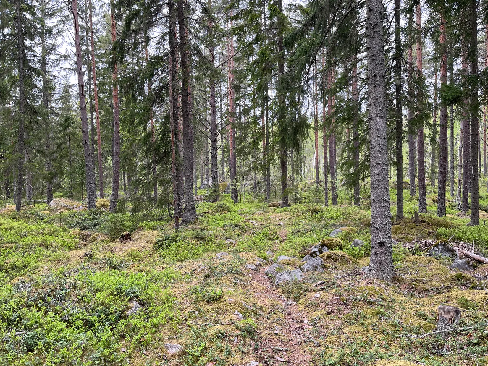 Gård/Skog, GÄVLE VARVA 2:47, Gävle